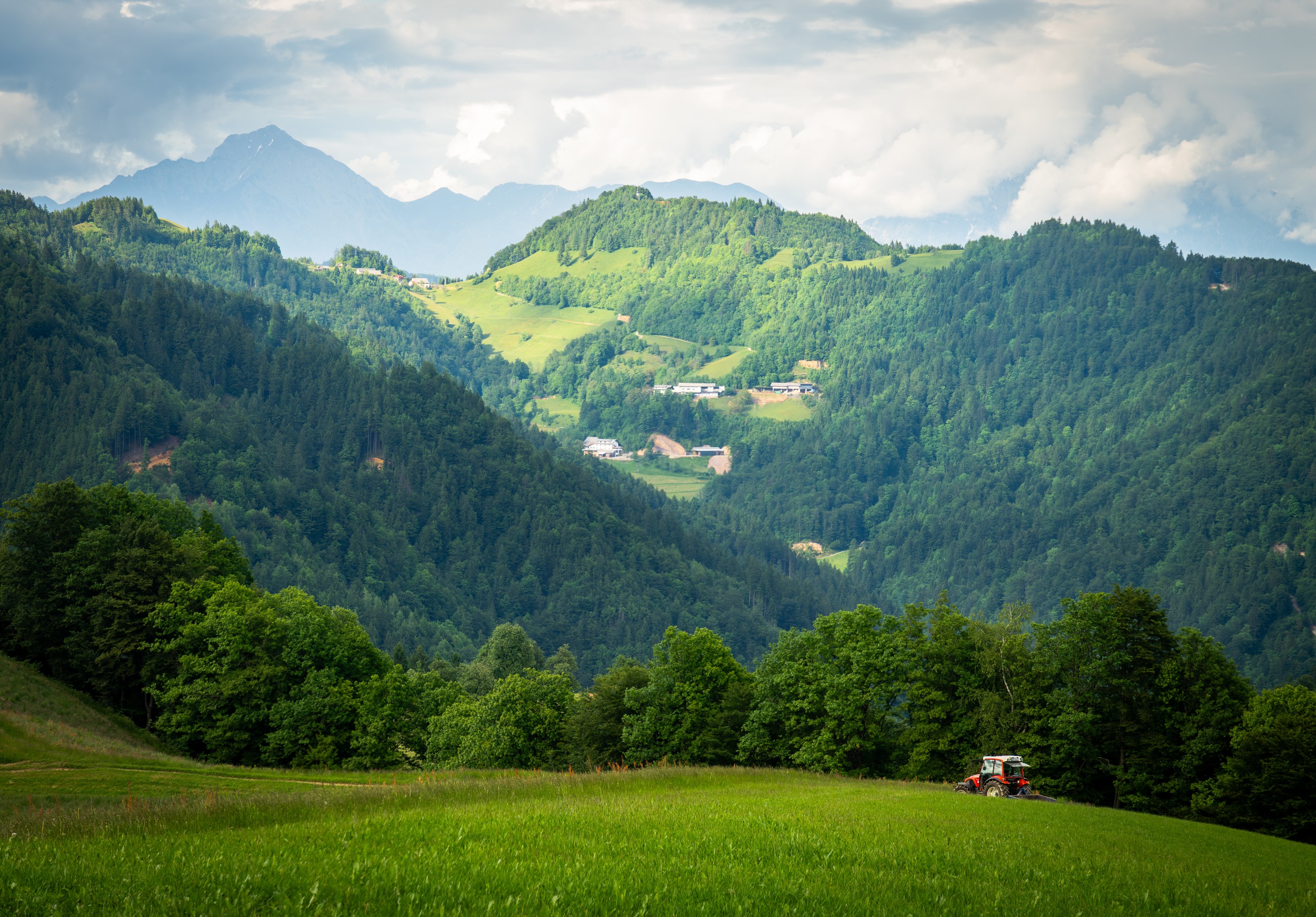 Pastoral Horizon — Slovenia