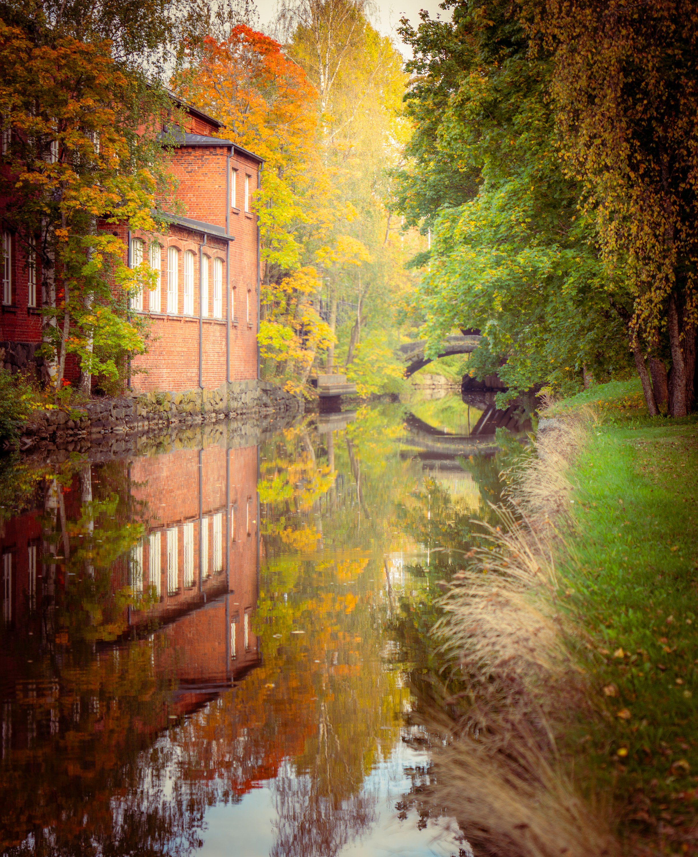 A Perfect Autumn - Forssa, Finland